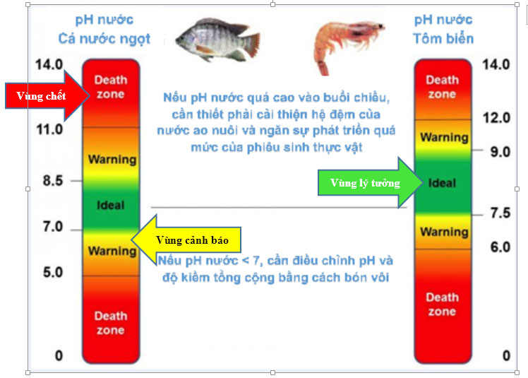 pH lý tưởng 